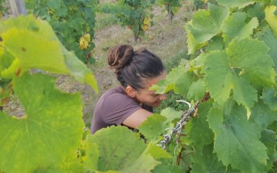 Respect de l’environnement